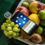 zamienniki węglowodanowe